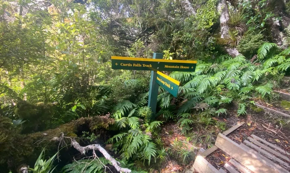 Curtis Falls, Taranaki
