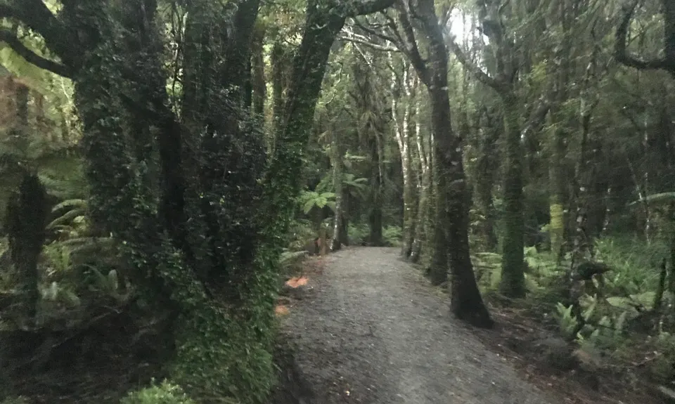 Mananui Tramline, West Coast