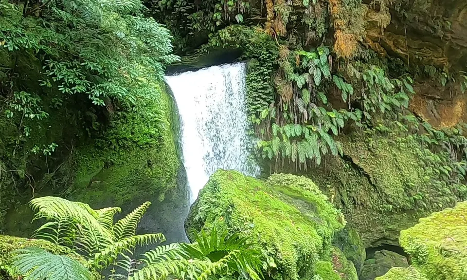 Tawarau River, Waikato