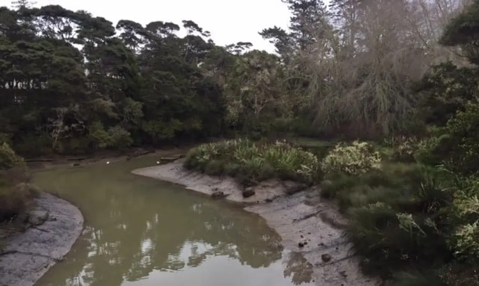 Station to Station,  North Shore Urban Trails, Auckland