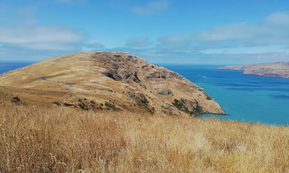 Godley Head loop, Canterbury