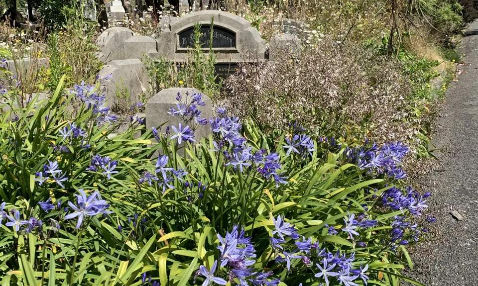 Graveyard Shift, Wellington