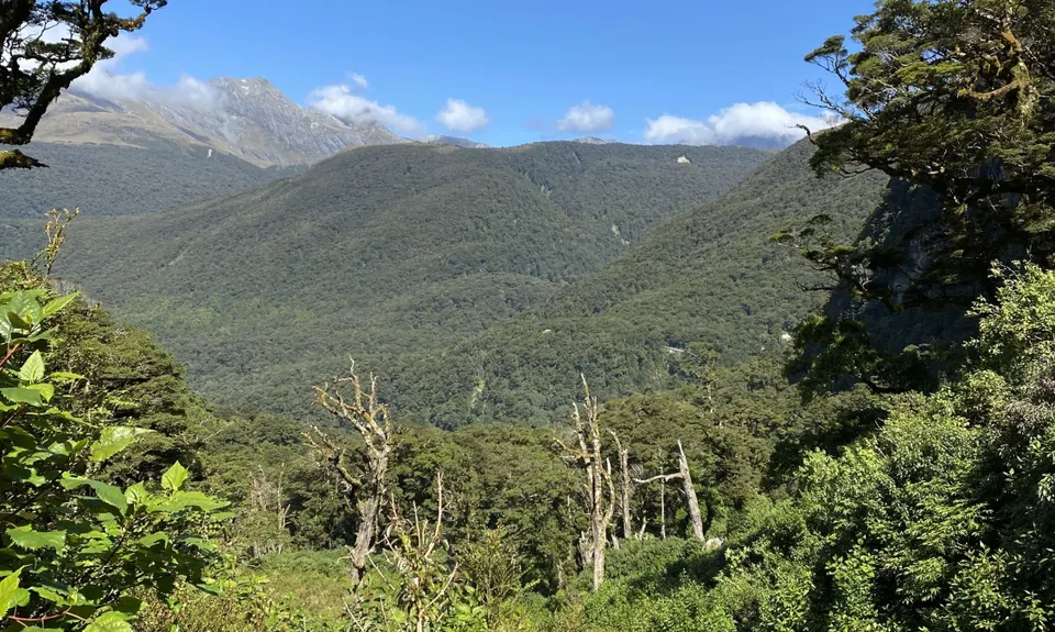 Lake Marian Meander, Southland