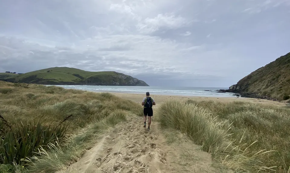 Sandhills, Cannibals & Sea-Lions, Otago