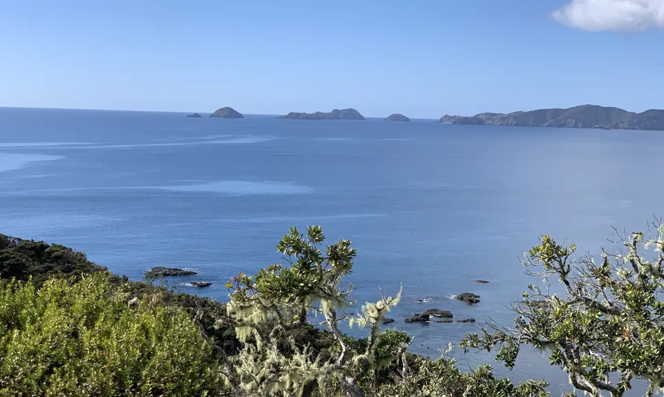 Mahinepua Peninsula Track, Northland