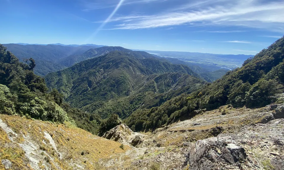 Mt Matthews, Wellington