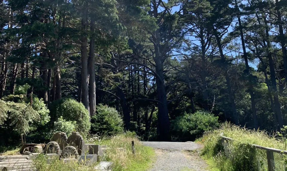 Graveyard Shift, Wellington