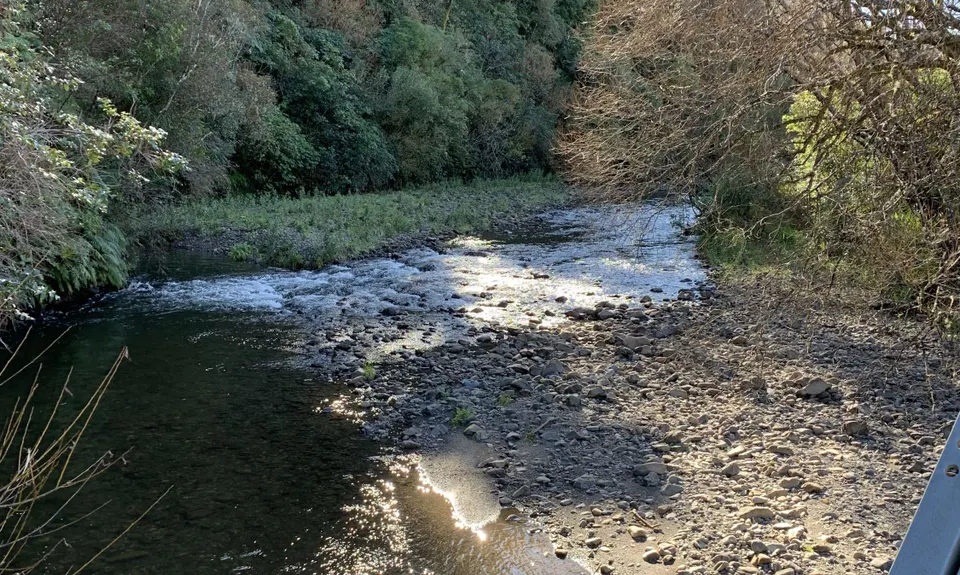 Muhunoa Loop Lung Buster , Manawatu - Wanganui