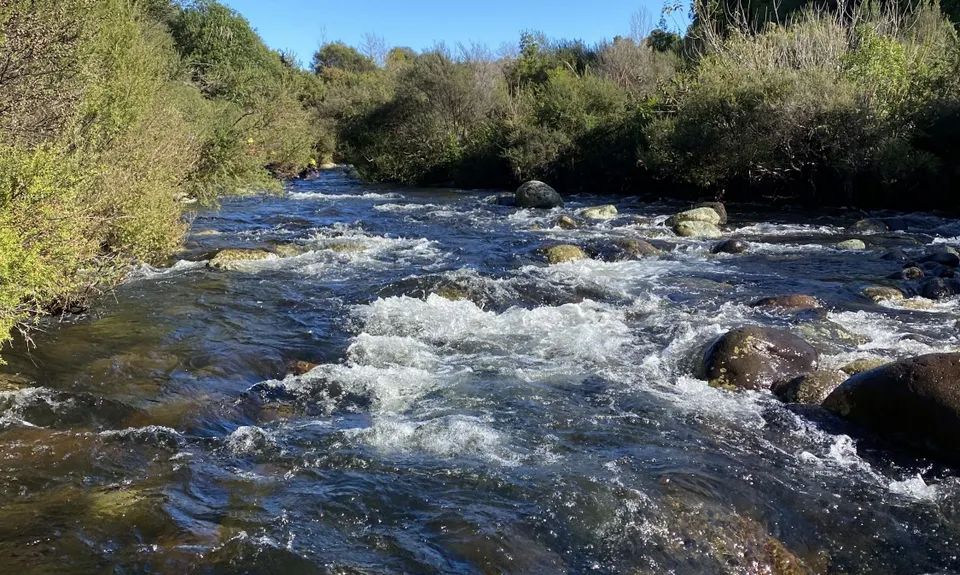 Ngamuwahine - Bobs Loop, Bay of Plenty
