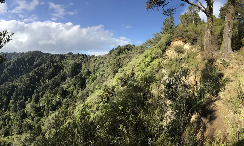 Atene Skyline Track, Manawatu - Wanganui
