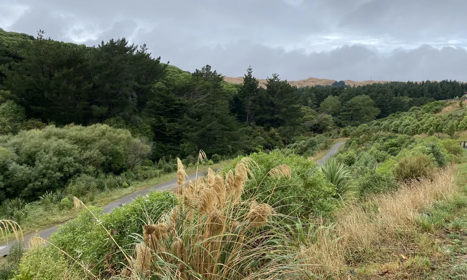 Not My Fault, Wellington