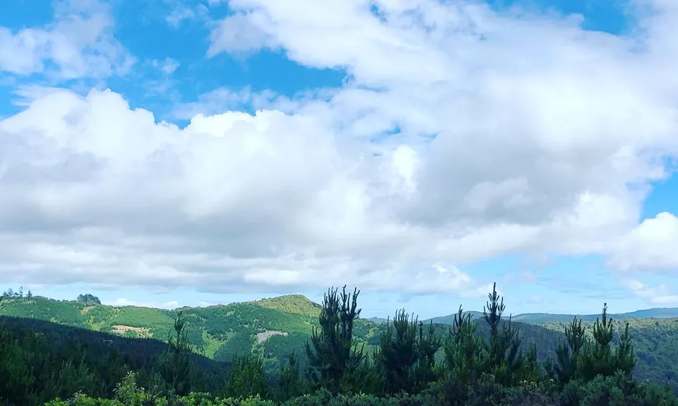 Karapoti Challenge, Wellington