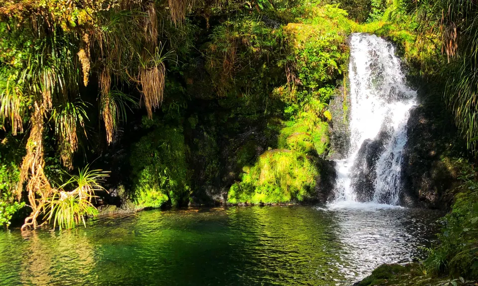 Otainewainuku - Whataroa Falls, Bay of Plenty