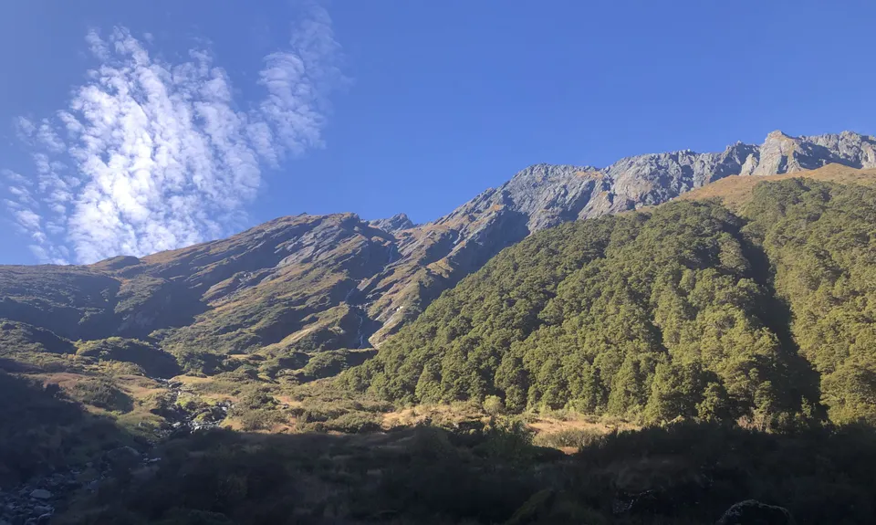 Rob Roy Glacier Track, Otago