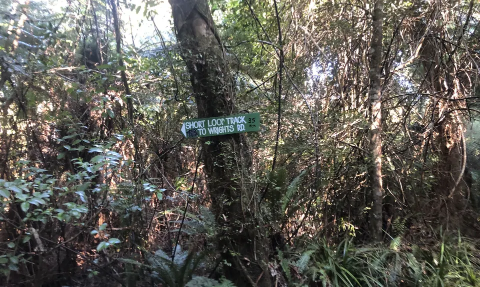 Aongatete Loop, Bay of Plenty