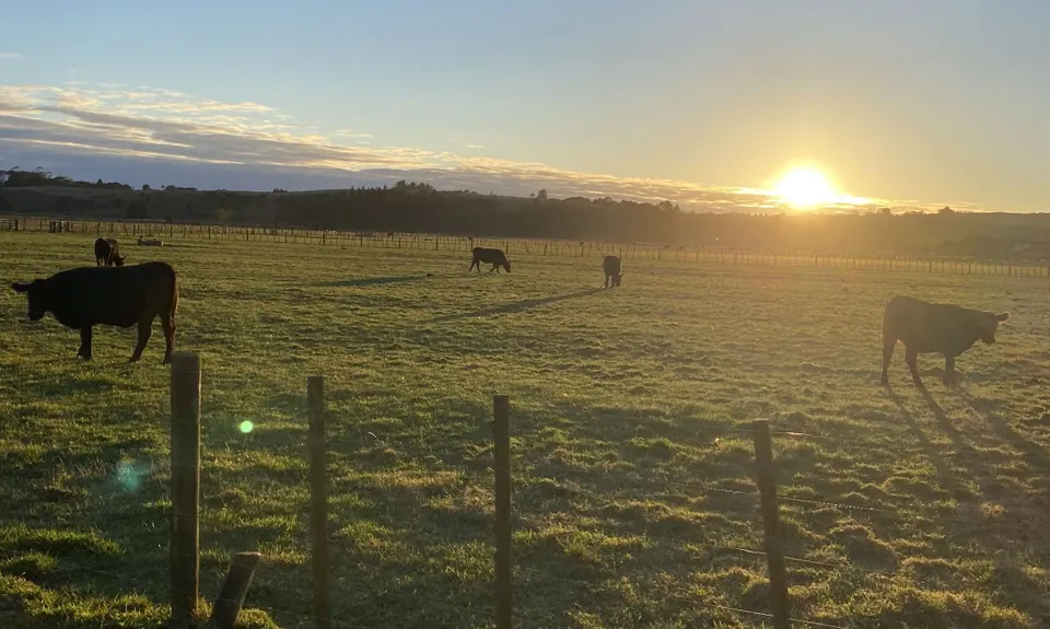 Whitford Coastal Trail Loop , Auckland
