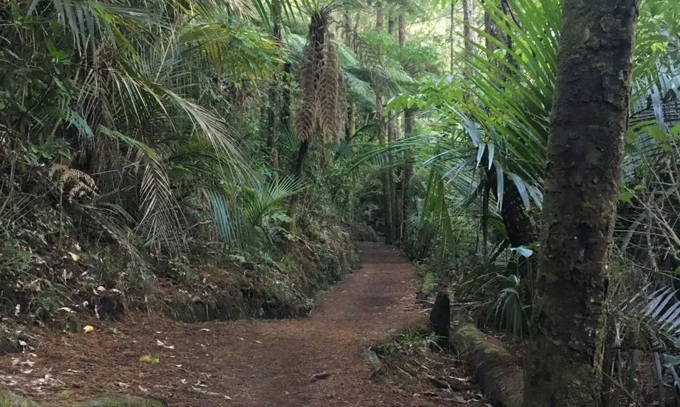 Totara Park Track, Auckland