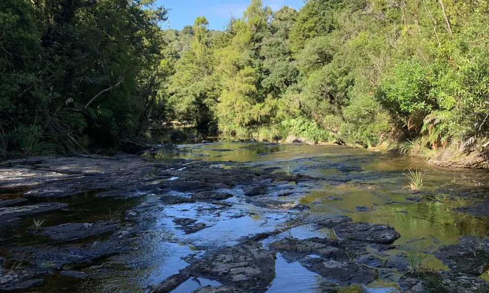 Wairere Falls, Waikato