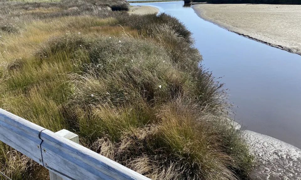 Waikanae River & Estuary, Wellington