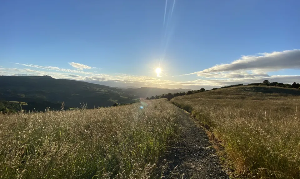 Ross, Pineapple, Frasers loop, Otago