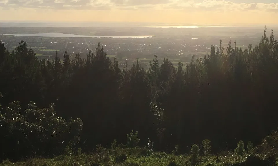 Levin Trig, Manawatu - Wanganui