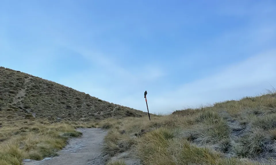 Ben Lomond via Tiki Trail, Otago