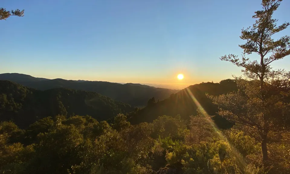 Middle of Middle Earth, Wellington