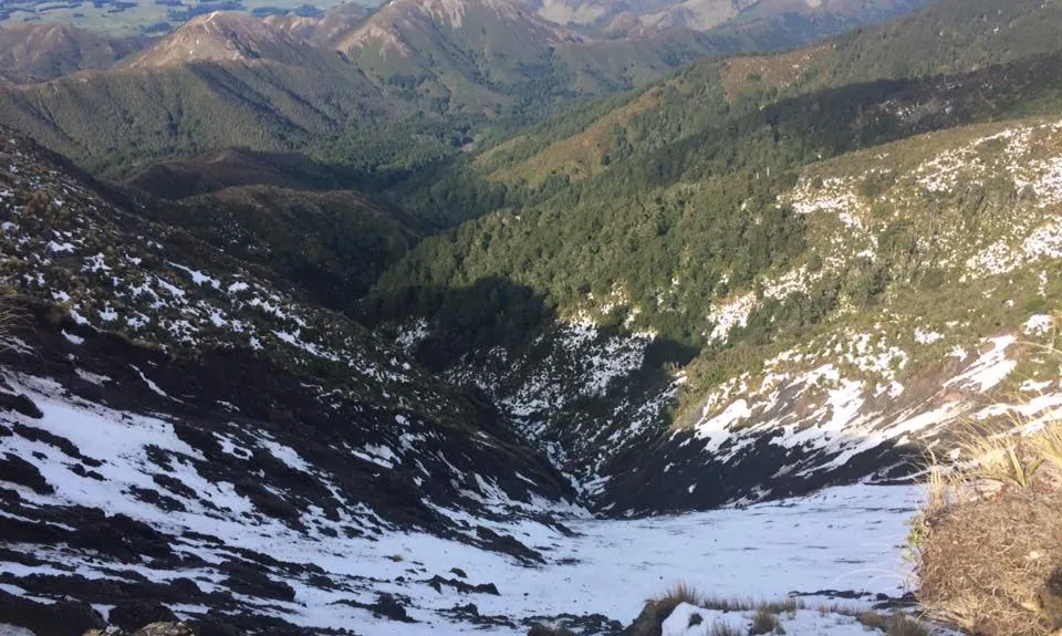 Longview Hut, Hawkes Bay