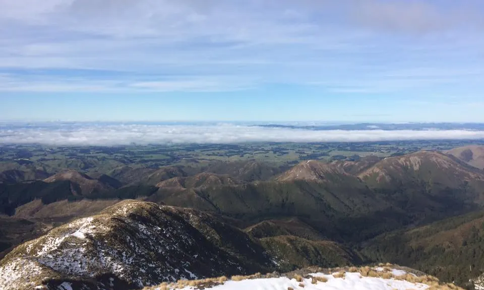 Longview Hut, Hawkes Bay