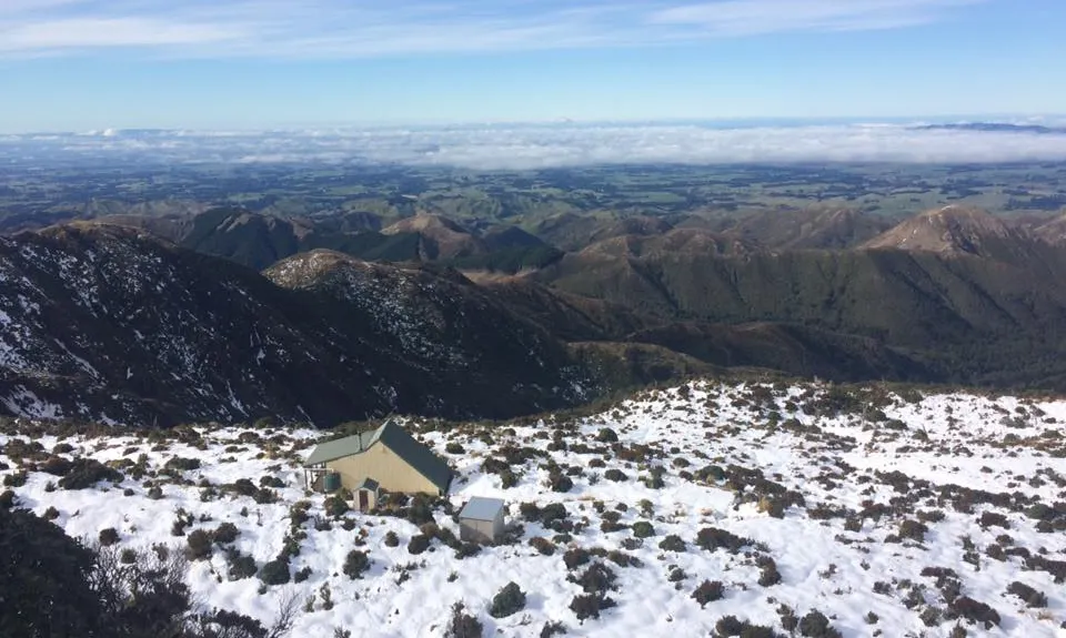 Longview Hut, Hawkes Bay