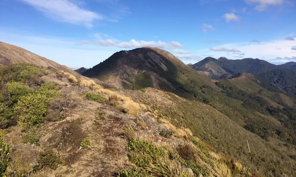 Awatere Hut, Hawkes Bay