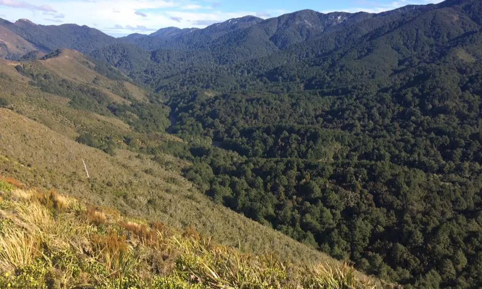 Awatere Hut, Hawkes Bay