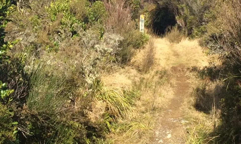 Awatere Hut, Hawkes Bay
