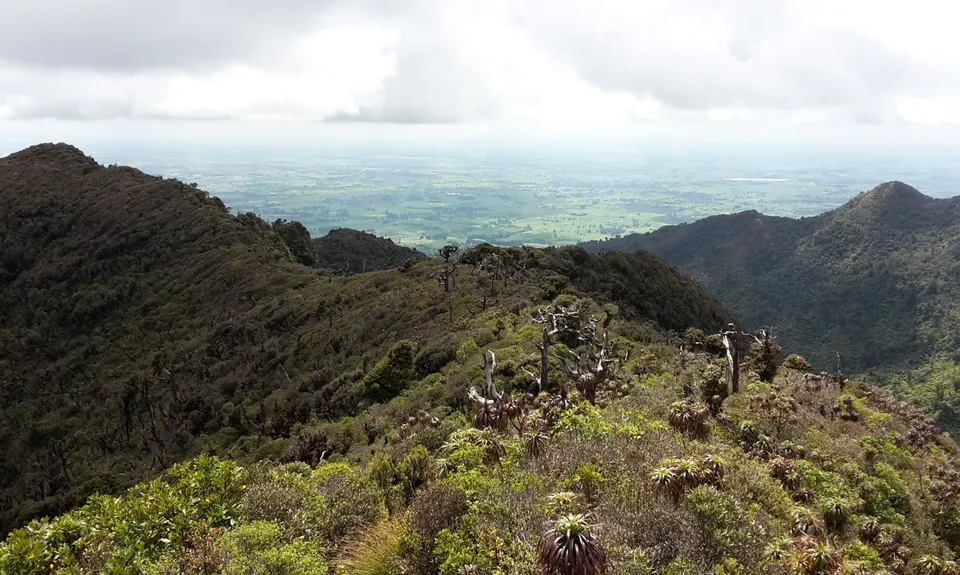 Pirongia Loop of Awesomeness, Waikato