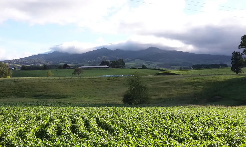 Pirongia Loop of Awesomeness, Waikato