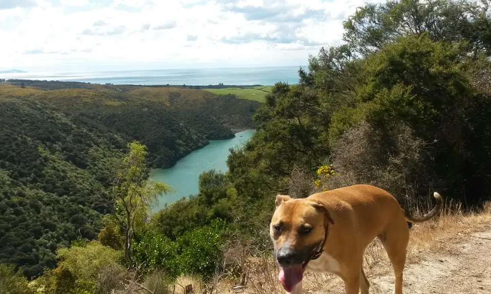 Taieri Mouth Millenium Trail, Otago