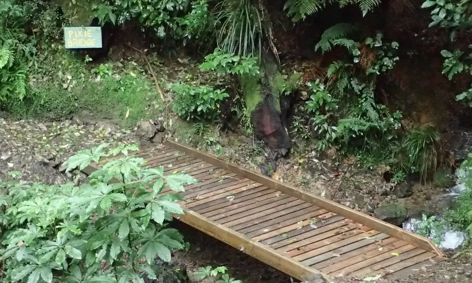 Whakaumu Track, Bay of Plenty