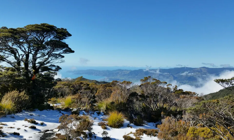Parapara Peak, Tasman