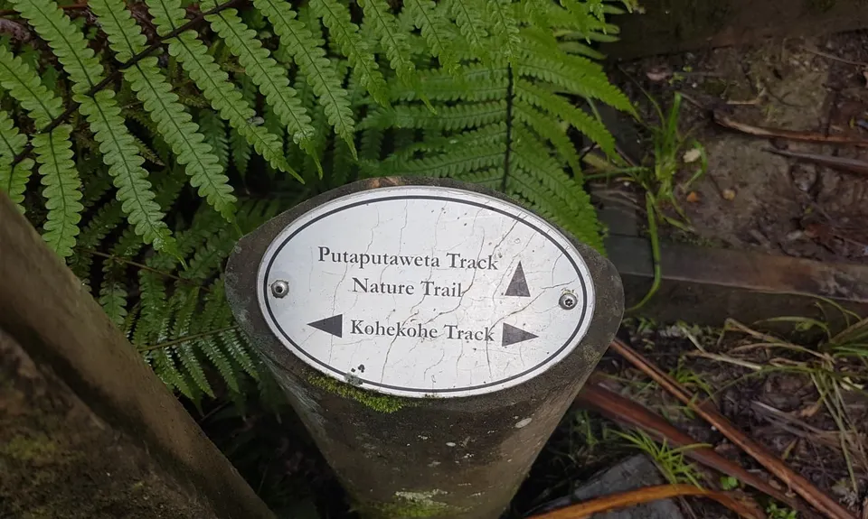 Centennial Park trails (Campbells Bay), Auckland