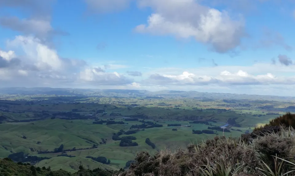 Sledge Track with Toetoe Loop & Otangane Loop, Manawatu - Wanganui
