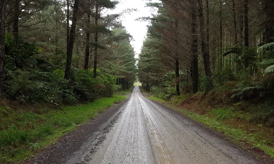 3 Pigs Trail, Northland