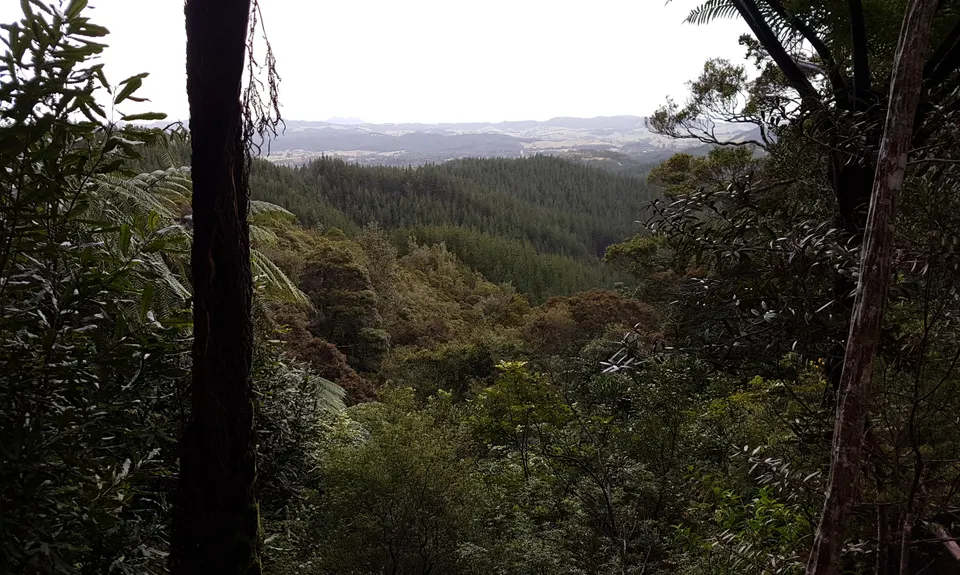 3 Pigs Trail, Northland