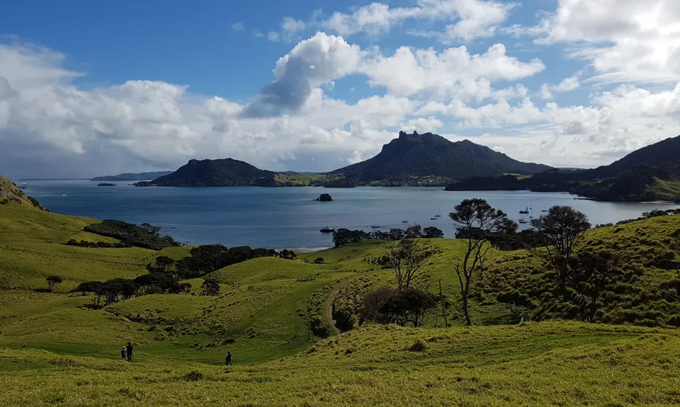 Bream Head Te Whara Trail, Northland