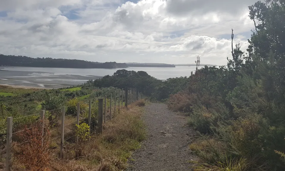 Okura Bush, Auckland