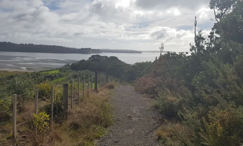 Okura Bush, Auckland