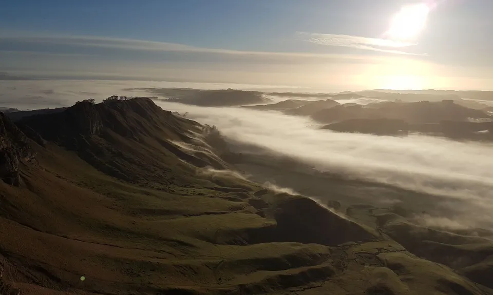 Te Mata Peak Giant Track, Hawkes Bay