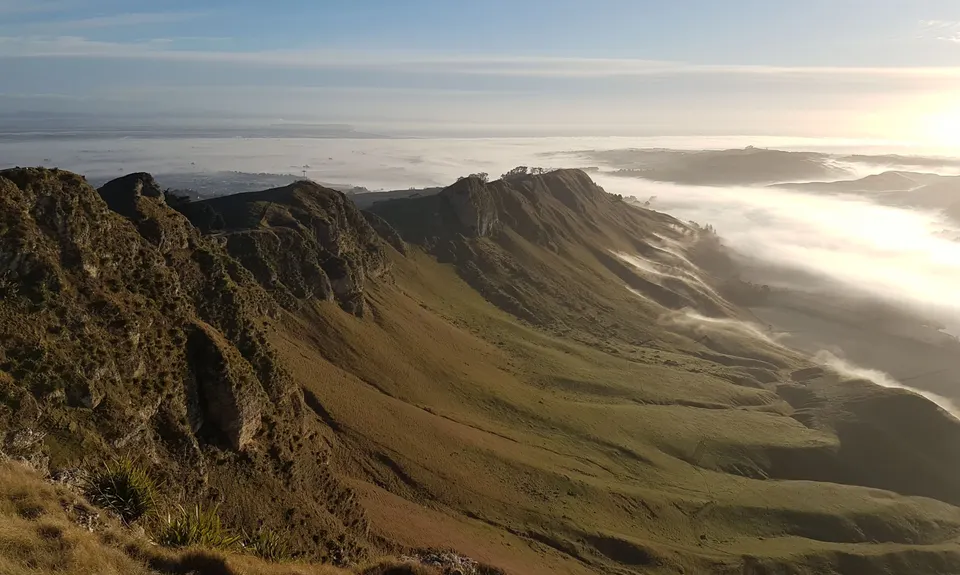 Te Mata Peak Giant Track, Hawkes Bay