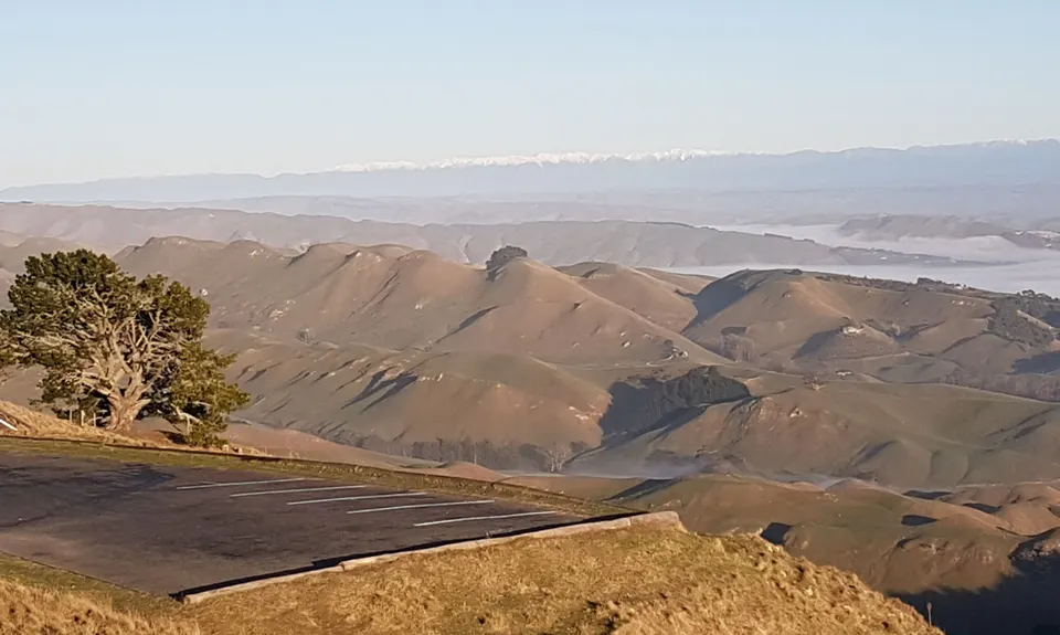 Te Mata Peak Giant Track, Hawkes Bay