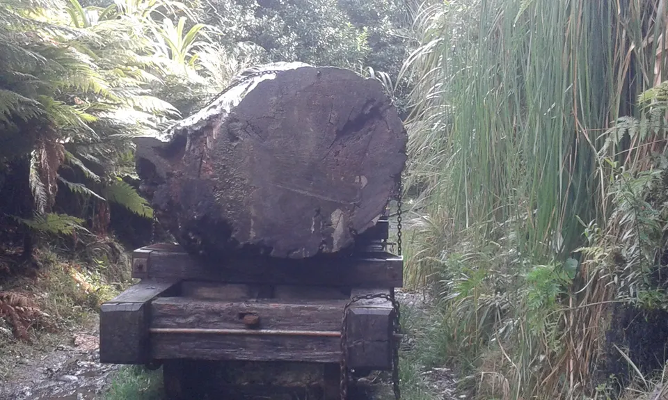 Waitawheta Tramway - Bogeys and Bluffs, Waikato