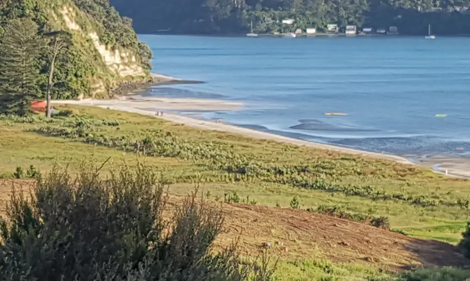 Okura Bush, Auckland
